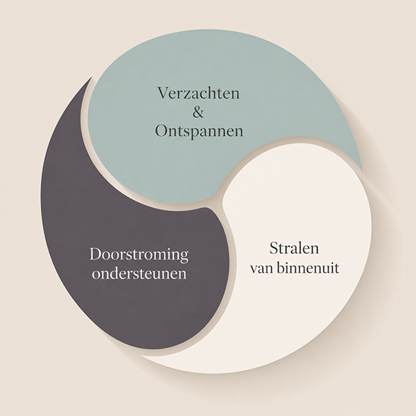 Schema aanpak behandeling huid
